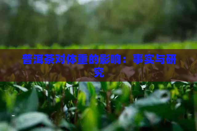 普洱茶对体重的影响：事实与研究