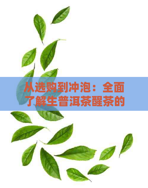 从选购到冲泡：全面了解生普洱茶醒茶的正确方法与技巧