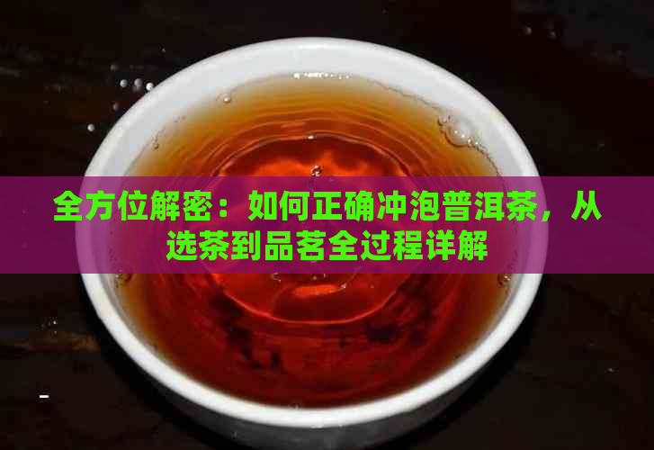 全方位解密：如何正确冲泡普洱茶，从选茶到品茗全过程详解