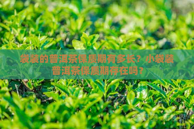 袋装的普洱茶保质期有多长？小袋装普洱茶保质期存在吗？