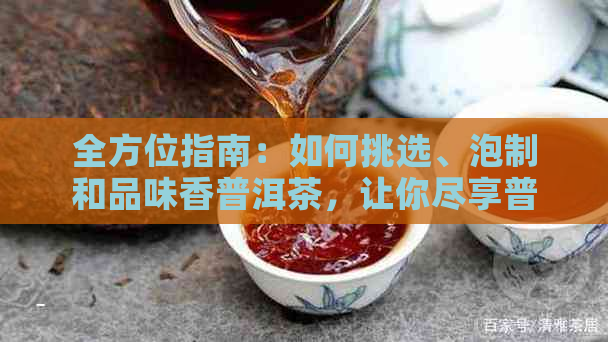 全方位指南：如何挑选、泡制和品味香普洱茶，让你尽享普洱茶的魅力