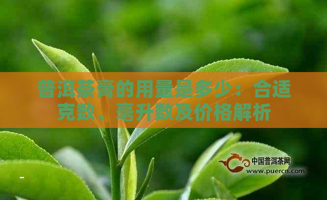 普洱茶膏的用量是多少：合适克数、毫升数及价格解析