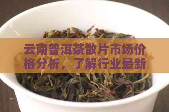 云南普洱茶散片市场价格分析，了解行业最新动态与未来趋势