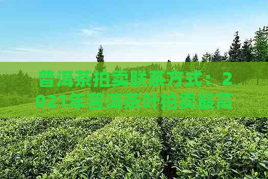 普洱茶拍卖联系方式：2021年普洱茶叶拍卖更高价与会信息