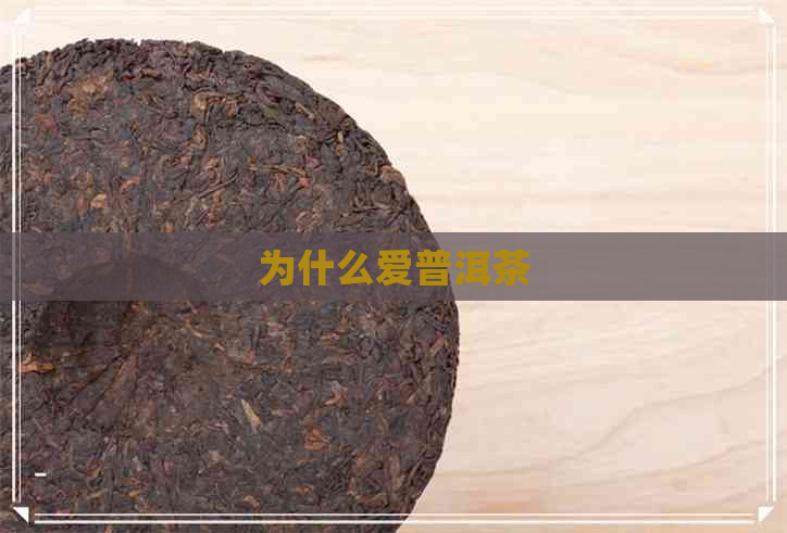 为什么爱普洱茶