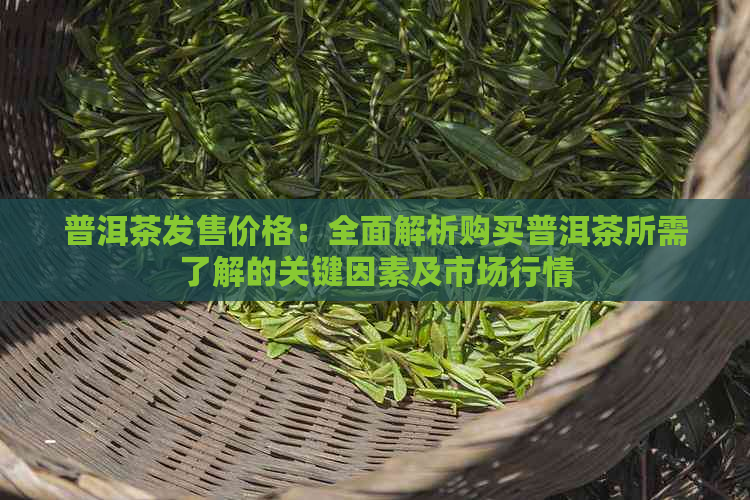 普洱茶发售价格：全面解析购买普洱茶所需了解的关键因素及市场行情