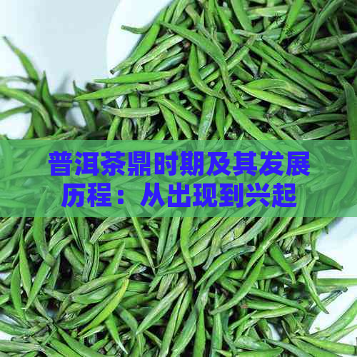 普洱茶鼎时期及其发展历程：从出现到兴起