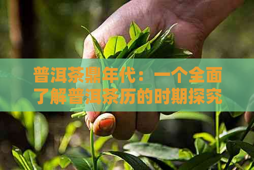 普洱茶鼎年代：一个全面了解普洱茶历的时期探究