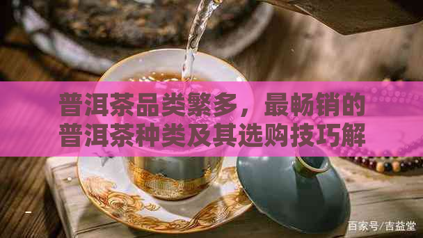 普洱茶品类繁多，最畅销的普洱茶种类及其选购技巧解析