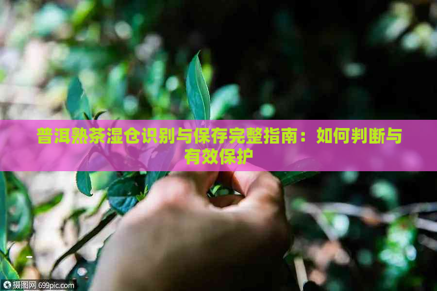 普洱熟茶湿仓识别与保存完整指南：如何判断与有效保护