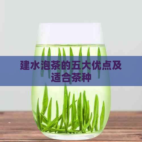 建水泡茶的五大优点及适合茶种