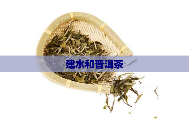 建水和普洱茶