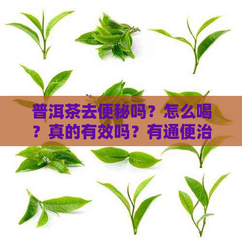 普洱茶去便秘吗？怎么喝？真的有效吗？有通便治疗便秘作用吗？