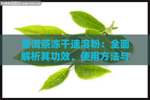 普洱茶冻干速溶粉：全面解析其功效、使用方法与注意事项