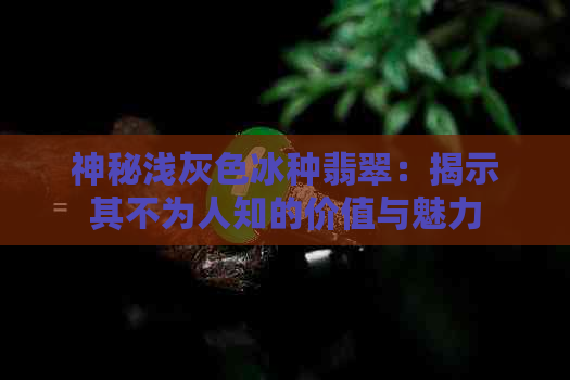 神秘浅灰色冰种翡翠：揭示其不为人知的价值与魅力