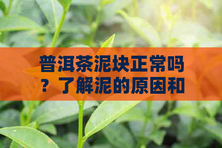 普洱茶泥块正常吗？了解泥的原因和对茶叶品质的影响