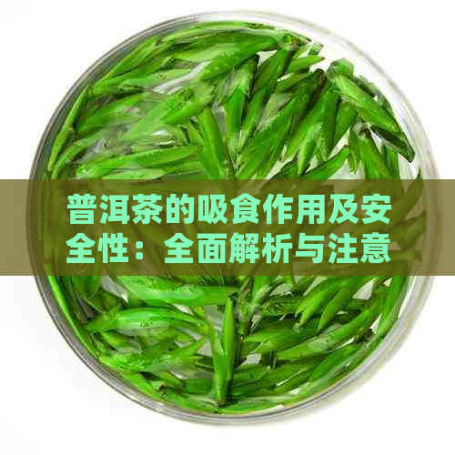 普洱茶的吸食作用及安全性：全面解析与注意事项