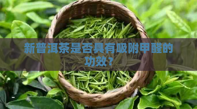 新普洱茶是否具有吸附甲醛的功效？