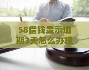 58借钱显示逾期3天怎么办理期还款、分期还款及正常还款