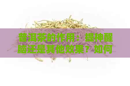 普洱茶的作用：提神醒脑还是其他效果？如何正确饮用以达到效果？