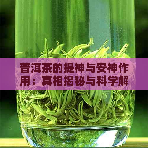 普洱茶的提神与安神作用：真相揭秘与科学解析