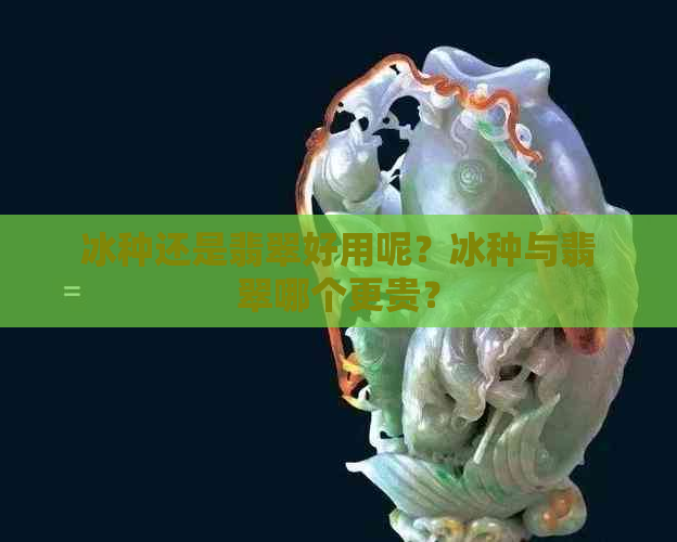 冰种还是翡翠好用呢？冰种与翡翠哪个更贵？