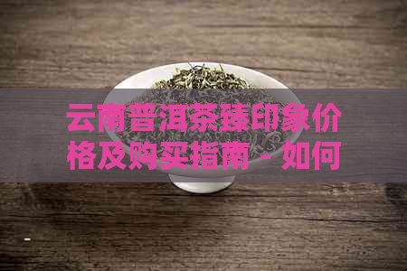 云南普洱茶臻印象价格及购买指南 - 如何挑选和品鉴优质普洱茶？