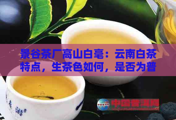 景谷茶厂高山白毫：云南白茶特点，生茶色如何，是否为普洱茶