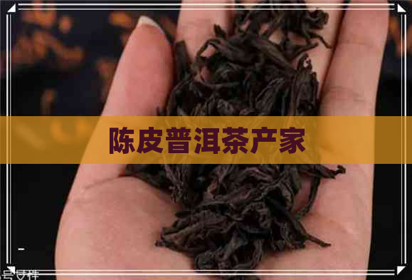 陈皮普洱茶产家