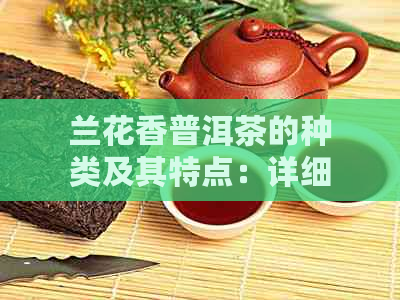 兰花香普洱茶的种类及其特点：详细介绍与比较