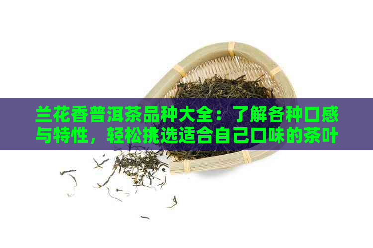 兰花香普洱茶品种大全：了解各种口感与特性，轻松挑选适合自己口味的茶叶