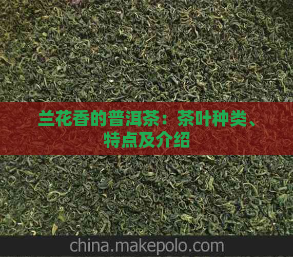 兰花香的普洱茶：茶叶种类、特点及介绍