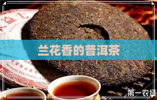 兰花香的普洱茶