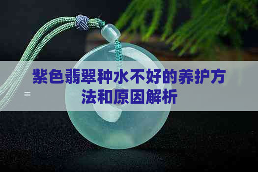 紫色翡翠种水不好的养护方法和原因解析