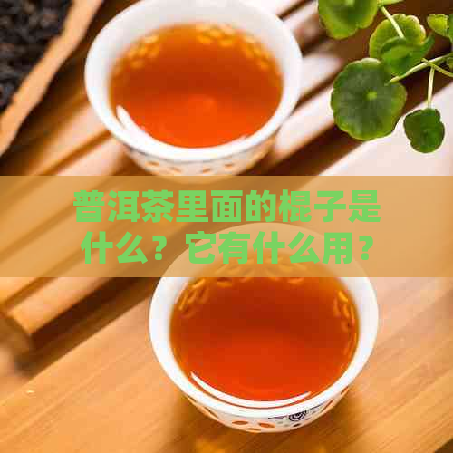 普洱茶里面的棍子是什么？它有什么用？