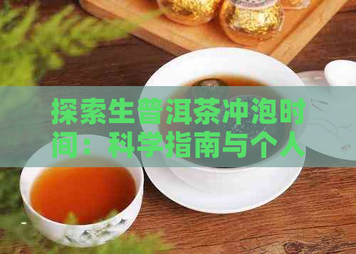 探索生普洱茶冲泡时间：科学指南与个人口感体验