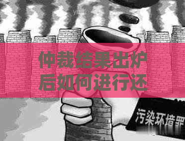 仲裁结果出炉后如何进行还款操作？详细步骤与注意事项一览