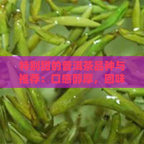 特别甜的普洱茶品种与推荐：口感醇厚，回味悠长