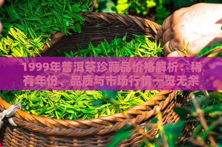 1999年普洱茶珍藏品价格解析：稀有年份、品质与市场行情一览无余