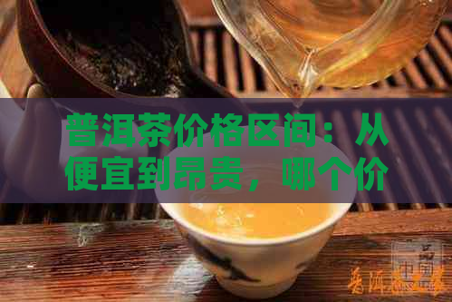 普洱茶价格区间：从便宜到昂贵，哪个价位的普洱茶最适合你？