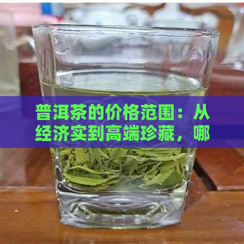 普洱茶的价格范围：从经济实到高端珍藏，哪种价格的普洱茶最适合？