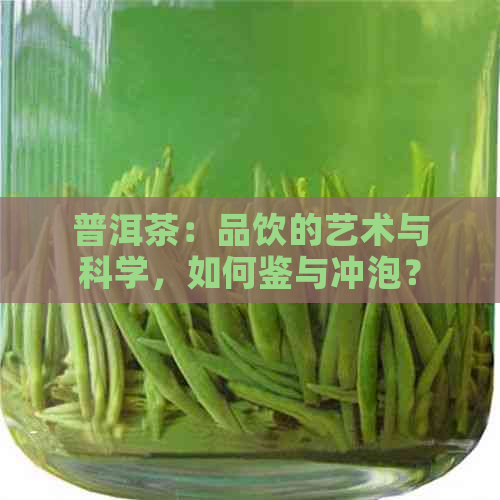 普洱茶：品饮的艺术与科学，如何鉴与冲泡？