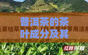 普洱茶的茶叶成分及其对健的影响：一个全面的分析