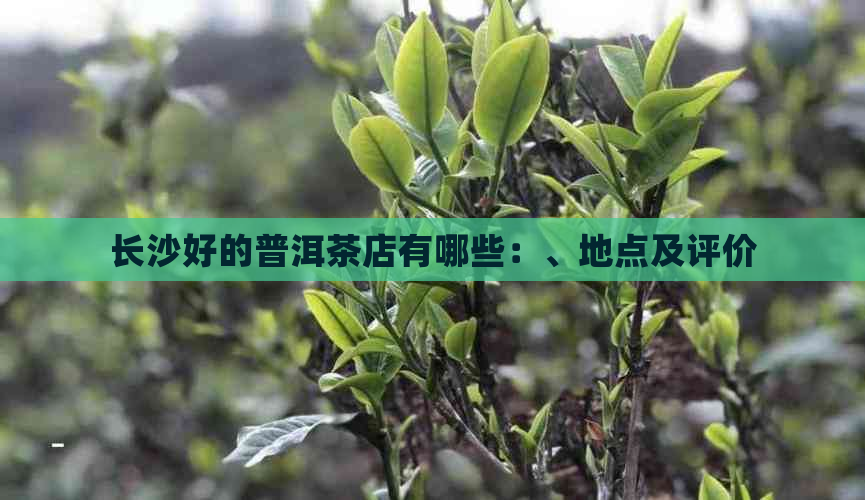 长沙好的普洱茶店有哪些：、地点及评价