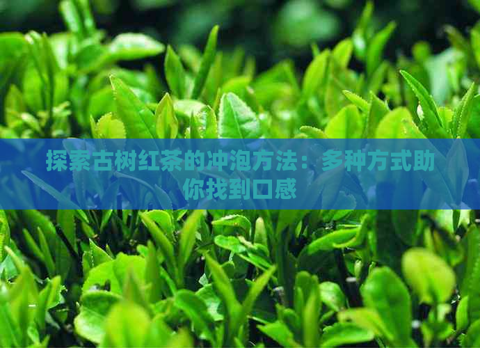 探索古树红茶的冲泡方法：多种方式助你找到口感