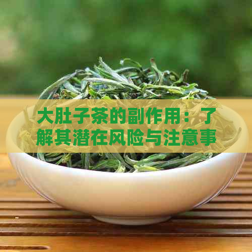 大肚子茶的副作用：了解其潜在风险与注意事项