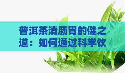 普洱茶清肠胃的健之道：如何通过科学饮茶方式助消化减负担