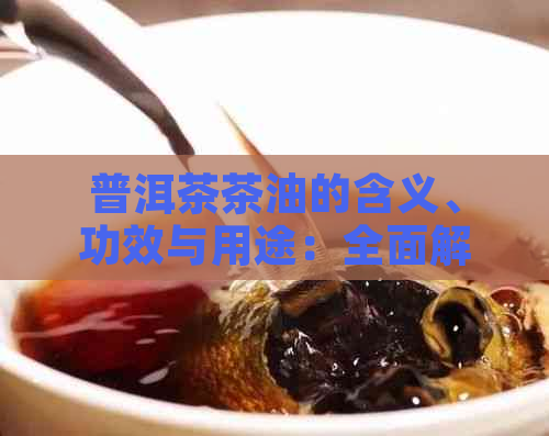 普洱茶茶油的含义、功效与用途：全面解析茶油在普洱茶文化中的重要性