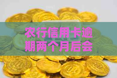 农行信用卡逾期两个月后会遭遇信用额度降低吗？如何应对信用额度调整？