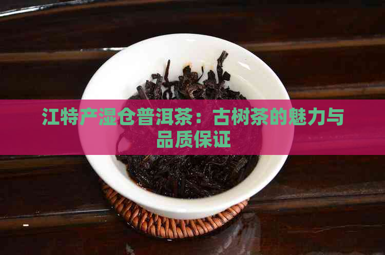 江特产湿仓普洱茶：古树茶的魅力与品质保证